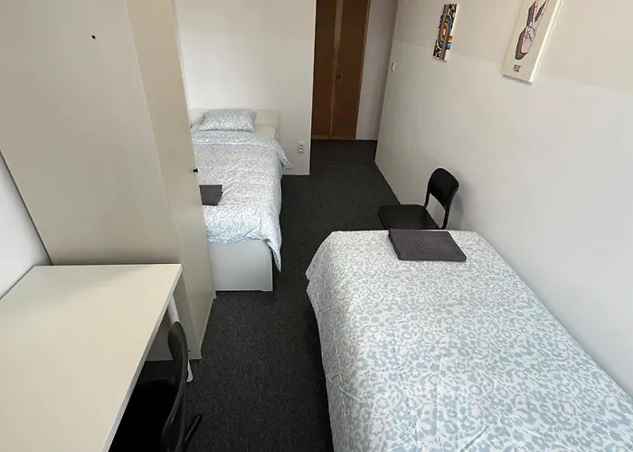 Hostel Sumavska - Veveri Vedle Sono Music Club *